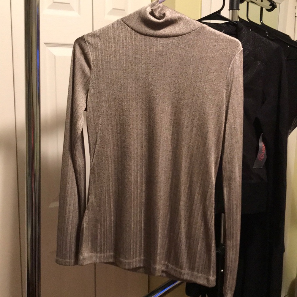 Ann Taylor Turtle Neck